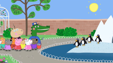 【夏天浪计划】看动物只知道Toronto Zoo？那怎么能行！