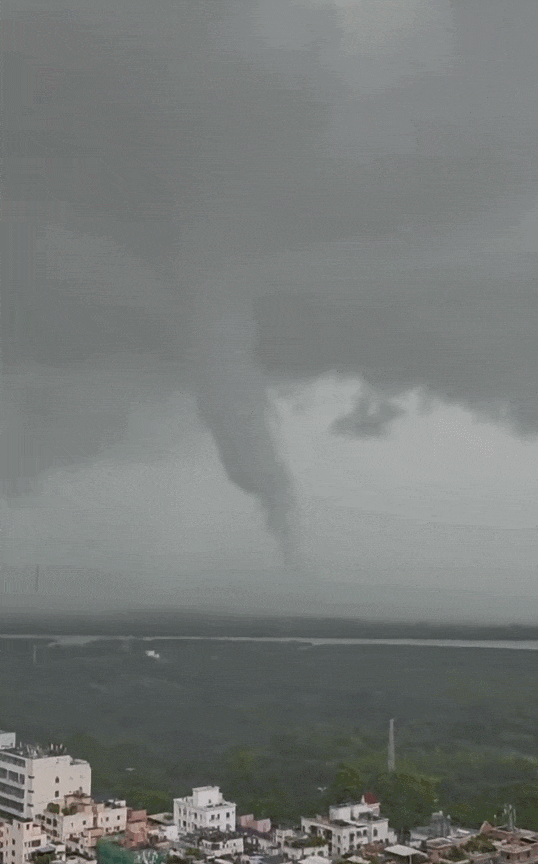 GIF 2026-6-6 14-20-01.gif