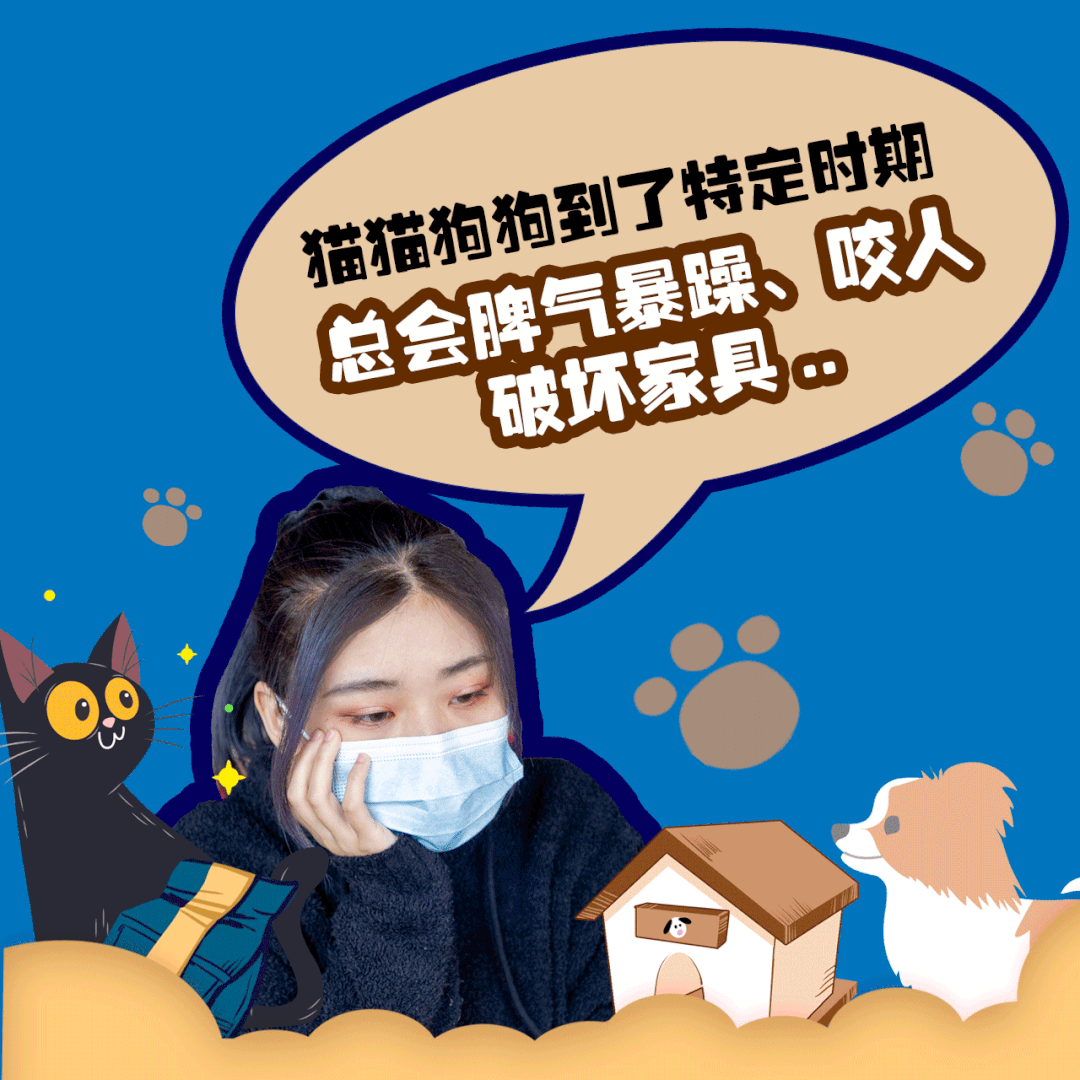 宠物呼吸麻醉怎么收费@宠爸宠妈，从绝育就做到极致…这家好评满满的de『五星级连锁宠物医院』来三水了！_https://www.jmylbn.com_新闻资讯_第2张