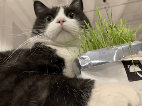 广播精选 没毛病 就是 得了没有头发的病 每日豆瓣 微信公众号文章阅读 Wemp