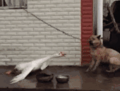 30岁生日的那天，我选择了裸辞