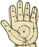 古法经络|小儿推拿之动态图解！