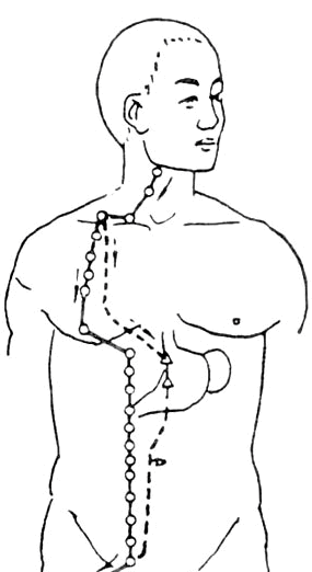 古法经络|乳腺问题关系5条经络，是女性健康的关键