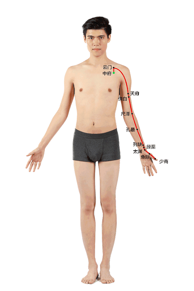 手臂上的这条线堵住了，各种毛病都会接踵而来!(必看）