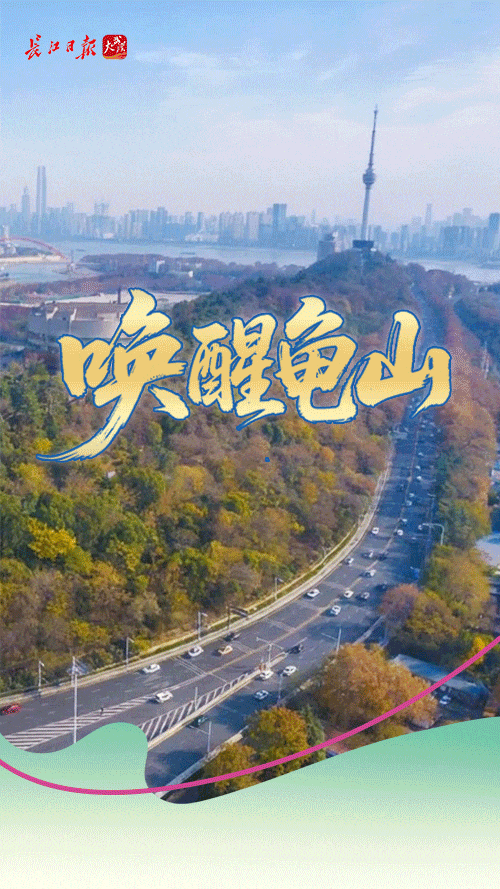 主图.gif