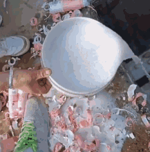 三鹿奶粉是君乐宝的前身吗_君乐宝奶粉三鹿奶粉更名_君乐宝以前是不是叫三鹿奶粉