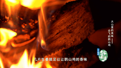 伏牛山里有啥美味？《老家的味道》推出“大山里的美味”，走进伏牛山，好吃又好玩！