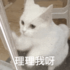 沙雕表情包又来啦精神小狗蹦迪
