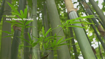 纱布卷怎么卷预告丨夏季专场，Nest Designs新品睡袋来啦！还有家居服和成人款_https://www.jmylbn.com_新闻资讯_第170张