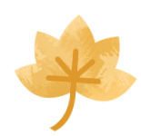 二建哪个专业好考？备考指南解析来了