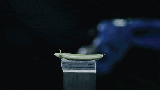 【见多识广】扒一扒工业机器人的核心部件--精密减速机的图4