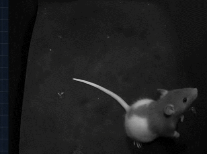 x光机为什么为什么要用x光来找毒蛇呢？本周孩子们好奇的问题还有…【把世界讲给孩子听】_https://www.jmylbn.com_新闻资讯_第4张