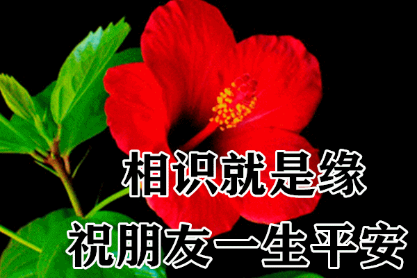 今日最新早上好图片，祝愿大家平安健康(今日最新早上好图片,祝愿大家平安健康的句子)