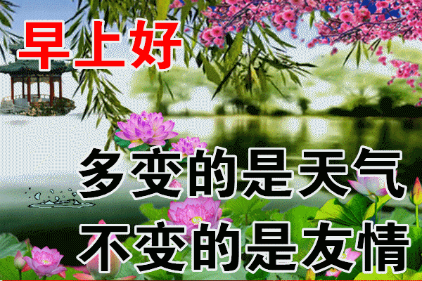 今日最新早上好图片，祝愿大家平安健康(今日最新早上好图片,祝愿大家平安健康的句子)