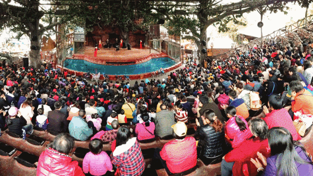 ˳�³�¹�����ݲ�԰99��2��2С��3����Ʊ��������������ݣ������е�+ͯ����������.....