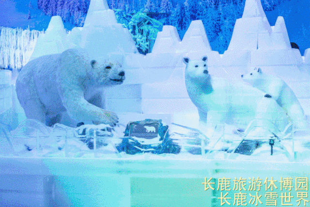 ˳�³�¹�����ݲ�԰99��2��2С��3����Ʊ��������������ݣ������е�+ͯ����������.....