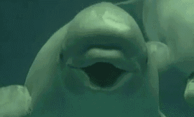 怎么区别呼吸你的呼吸是膈式呼吸还是胸式呼吸，两者有什么区别_https://www.jmylbn.com_新闻资讯_第10张