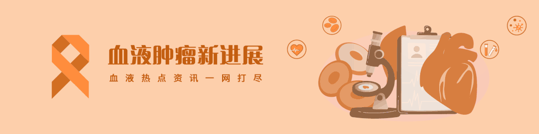 bm细胞是什么细胞BCMA CAR-T (HBI0101) 治疗复发难治性 AL 淀粉样变性的可行性_https://www.jmylbn.com_新闻资讯_第1张