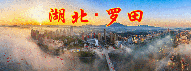 江苏人社局官网首页-【招商动态】县人社局赴上海和江苏开展招商引资考察活动