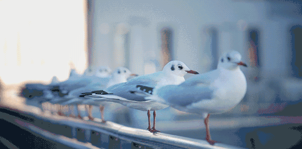 五月再见，六月你好