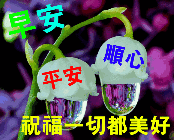 星期六清早问候亲友早上好漂亮动态表情图片 早晨好超美的祝福语句子 经典情感爱情名言 微信公众号文章阅读 Wemp