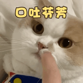 ems洁牙尖怎么分口臭886~市海沧医院开设洁牙门诊_https://www.jmylbn.com_新闻资讯_第2张