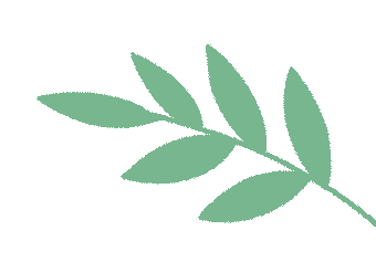 根管马达怎么修【新技术 新项目】第922医院2021—2022年34项新技术、新项目之十九：医生好助手 根管马达在根管治疗中的应用（口腔科）_https://www.jmylbn.com_新闻资讯_第10张