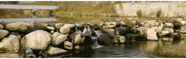 中药学院举行专业建设研讨会暨专业教师寒假培训总结会