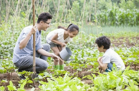 上海都市菜园胖马亲子