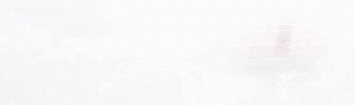 登录查看大图