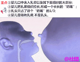 乳头皲裂痛不欲生，新手妈妈应该这样做！