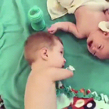 二级胚胎没有一级聪明_胚胎质量好的孩子聪明吗_胚胎质量越好出生宝宝越聪明吗
