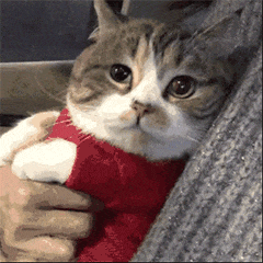 14EB2914.gif