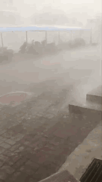 因台风造成的损害能否以“不可抗力”进行免责？常用法律-河南万基律师事务所