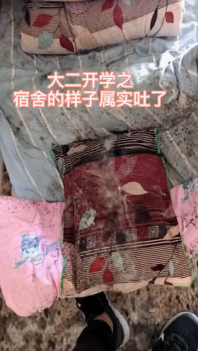 【爆笑】8个月没回学校，宿舍竟然长出了成熟的辣椒！而且还是在卫生间...（组图） - 14