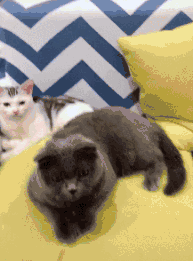 大型直男撩妹翻車現場，皮這一下你真的快樂嗎？ 搞笑 第6張