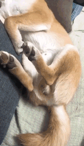 大型直男撩妹翻車現場，皮這一下你真的快樂嗎？ 搞笑 第3張