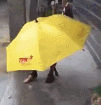 什么是医用气垫圈“气垫椰子鞋”火了！大半个娱乐圈都在穿的神仙拖，一脚踩进云朵里！全掌按摩，踩屎感爆棚，防滑耐磨易清洗，每走一步都是享受！_https://www.jmylbn.com_新闻资讯_第46张