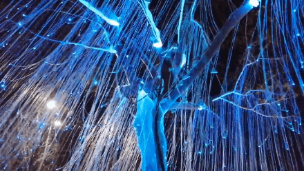 静待花开红,黄,蓝色成组的"静待花开",增加人与灯光小品的互动,乐趣