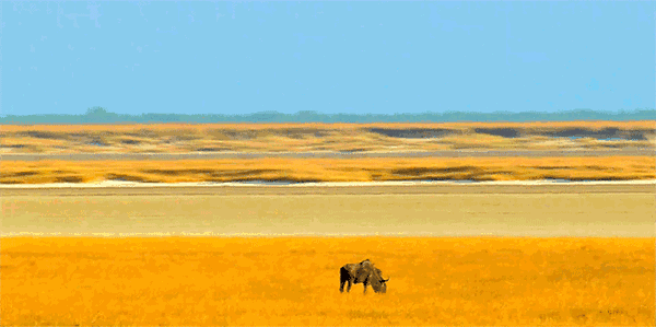 �޺���Ӱ������ |һ��������ȥ���е�����չ���