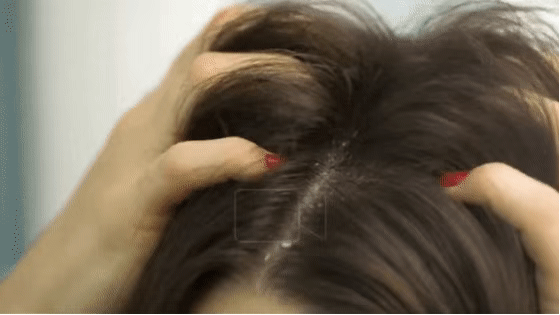 你头发的样子,决定了你80%的颜值...