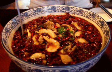 在众多川菜馆不停踩雷的你们,我喂你们吃下这款专属安利.