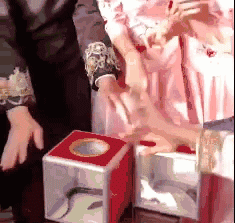 小众又有趣！年度即将大火的接亲游戏，嗨到停不下来！