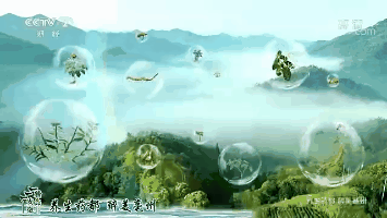 中药材价格监测数据第一季度报告