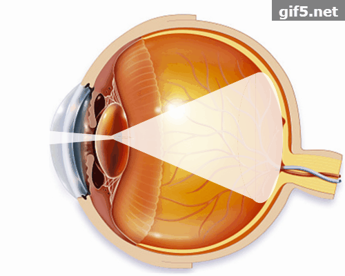 怎么看眼底相机微清Apollo相机，揭开白内障眼底的神秘面纱_https://www.jmylbn.com_新闻资讯_第10张