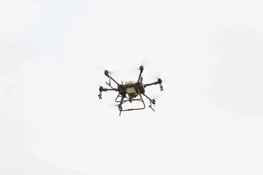 想省时省力吗？用它！