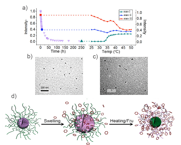 Macintosh HD:Users:salome:Documents:projects:Lin Mingchang:Benzoxaboroles:submission to polym chem:revision20130731:figures:figure 9.tif