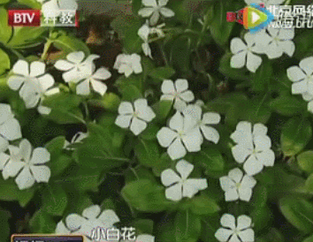 知名女星丈夫和儿子先后离世：令张艺谋爱慕的她，到底有多悲凉？（组图） - 3