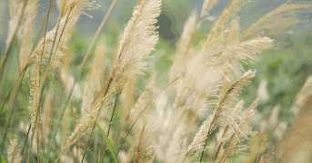 十一月你好，请带上阳光和微笑~致最在乎的你