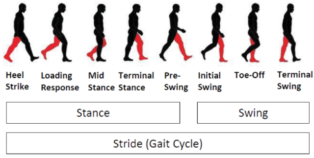 帕金森病患者的脑 - 体交互：双任务表现研究揭示新机制
